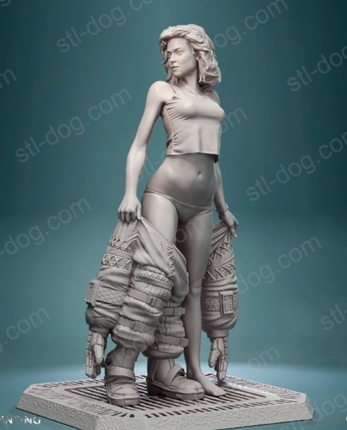 Ripley 内衣 3D打印图纸